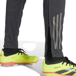 Adidas España, S.A.U Mens UCL Training Pants 24/25 Dark Grey^ Pants|Tracksuits