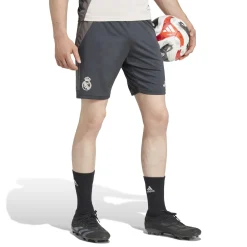 Adidas España, S.A.U Mens UCL Training Shorts 24/25 Dark Grey^ Pants