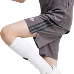 Adidas España, S.A.U Youth Third Shorts 24/25 Charcoal^ Pants