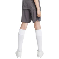 Adidas España, S.A.U Youth Third Shorts 24/25 Charcoal^ Pants
