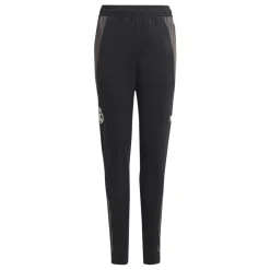 Adidas España, S.A.U Youth UCL Training Pants 24/25 Beige^ Pants|Pants